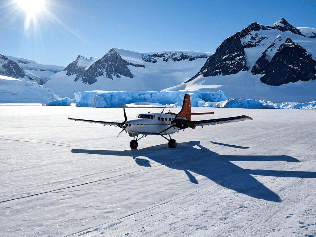 Unlock Antarctic Fly Cruise Option